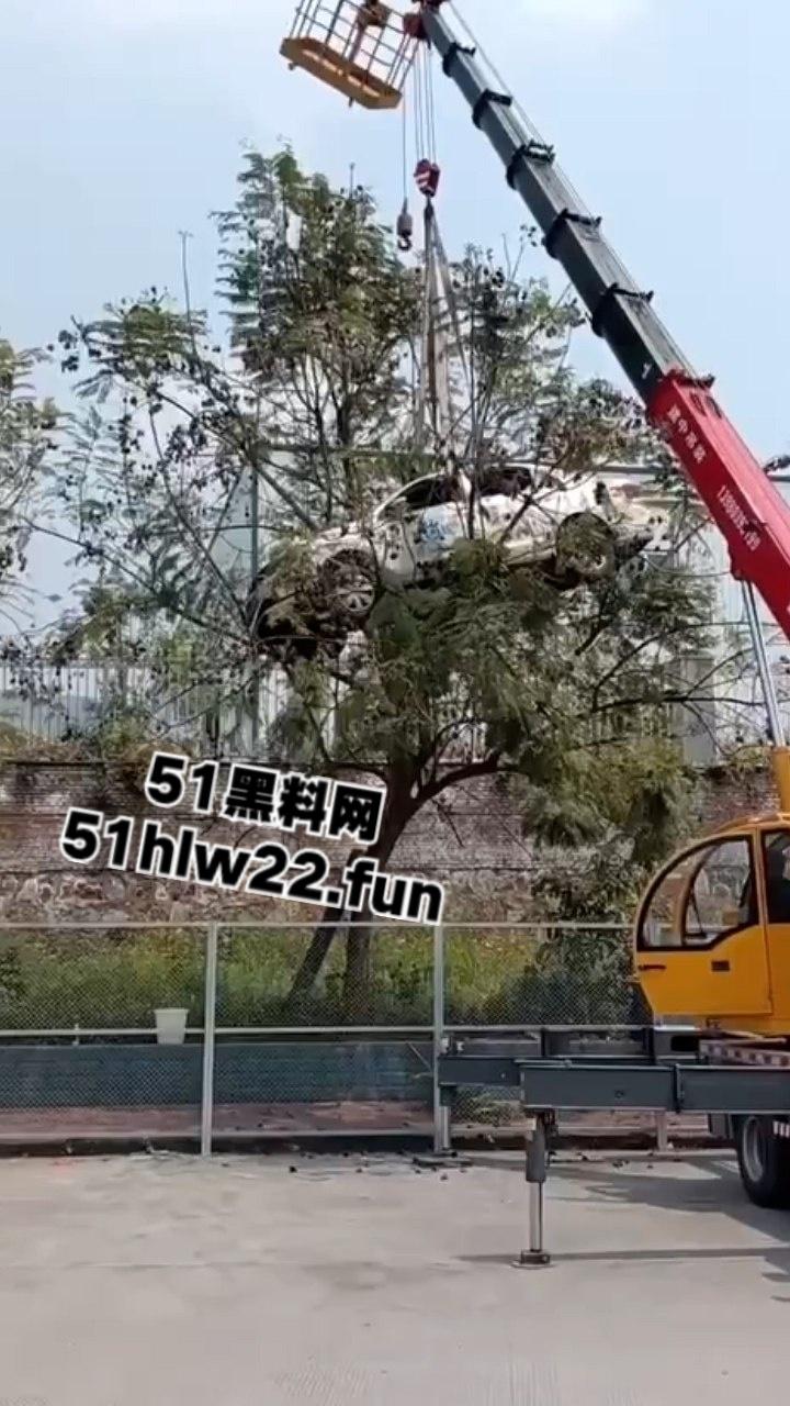 小刀拉屁股开了眼了,宜宾长宁驾校一教练教女学员开车一脚开飞直接上树,这车技也是没谁了! 第3张 小刀拉屁股开了眼了,宜宾长宁驾校一教练教女学员开车一脚开飞直接上树,这车技也是没谁了! 第3张