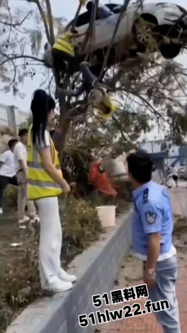 小刀拉屁股开了眼了,宜宾长宁驾校一教练教女学员开车一脚开飞直接上树,这车技也是没谁了! 第5张 小刀拉屁股开了眼了,宜宾长宁驾校一教练教女学员开车一脚开飞直接上树,这车技也是没谁了! 第5张