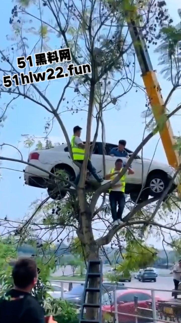 小刀拉屁股开了眼了,宜宾长宁驾校一教练教女学员开车一脚开飞直接上树,这车技也是没谁了! 第7张 小刀拉屁股开了眼了,宜宾长宁驾校一教练教女学员开车一脚开飞直接上树,这车技也是没谁了! 第7张