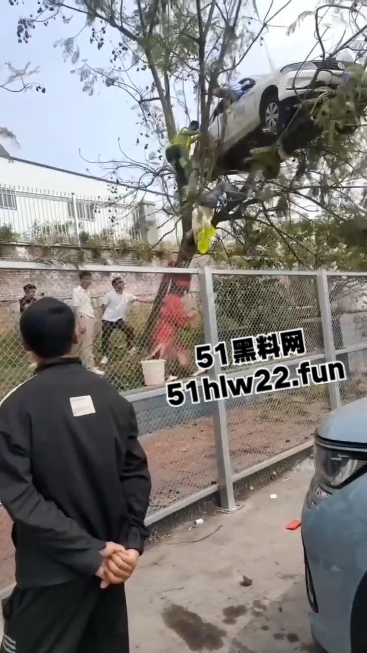 小刀拉屁股开了眼了,宜宾长宁驾校一教练教女学员开车一脚开飞直接上树,这车技也是没谁了! 第8张 小刀拉屁股开了眼了,宜宾长宁驾校一教练教女学员开车一脚开飞直接上树,这车技也是没谁了! 第8张