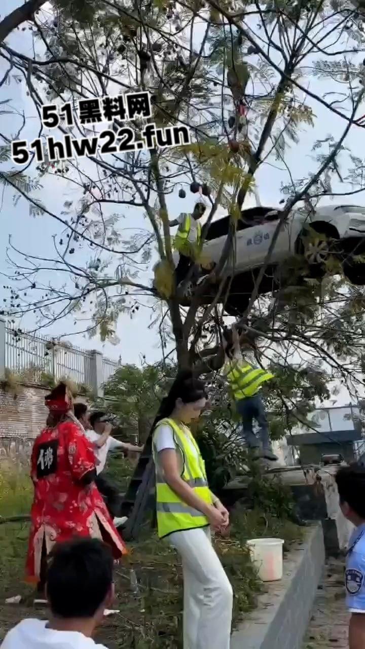 小刀拉屁股开了眼了,宜宾长宁驾校一教练教女学员开车一脚开飞直接上树,这车技也是没谁了! 第9张 小刀拉屁股开了眼了,宜宾长宁驾校一教练教女学员开车一脚开飞直接上树,这车技也是没谁了! 第9张