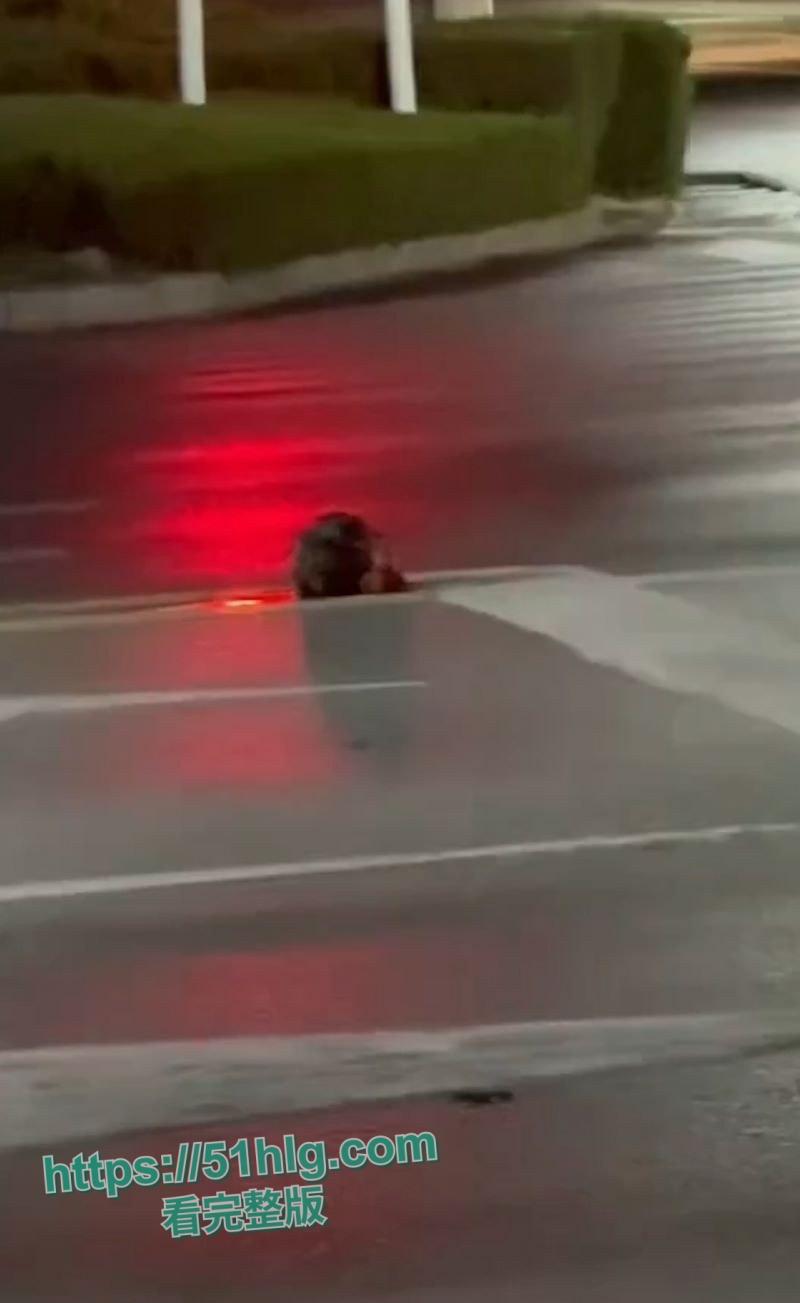 【山东诸城】繁荣路惊现死人头！伫立在马路中央周边血迹斑驳，路过行人被吓的当场昏厥，胆小勿入！  第1张