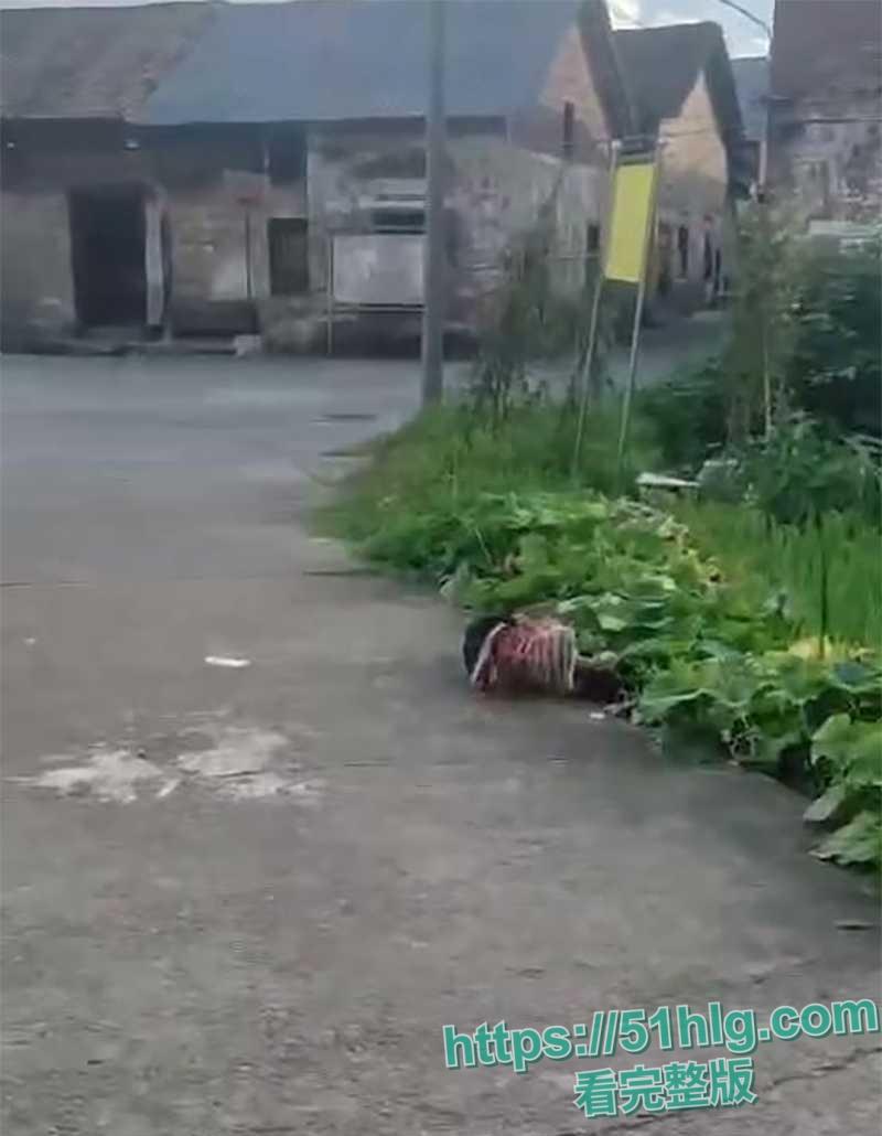 【耒阳】街头砍人案监控流出 31岁段某超疯狂砍人 被砍孩童哭喊救命 多人倒地丧命 画面恐怖血腥 胆小勿入 第2张 【耒阳】街头砍人案监控流出 31岁段某超疯狂砍人 被砍孩童哭喊救命 多人倒地丧命 画面恐怖血腥 胆小勿入 第2张