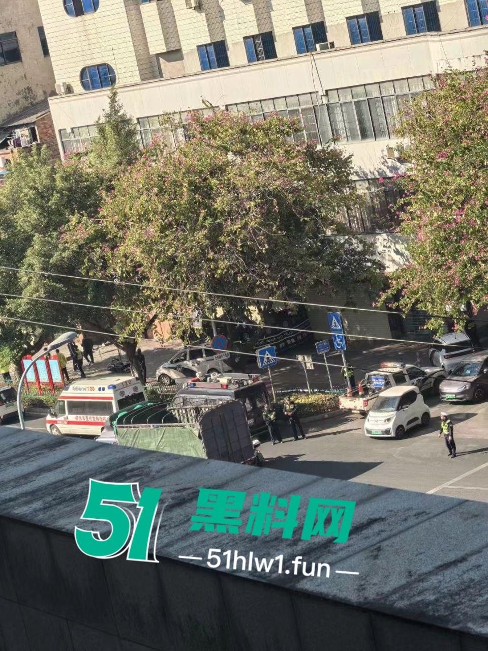 广西柳州精神病男子当街砍人如剁肉凶狠至极 路人躲闪不及多人中刀身亡 现场实拍视频流出  第2张