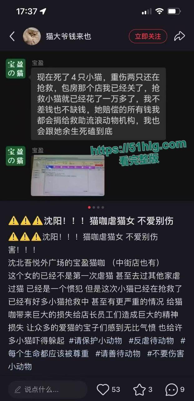 【沈阳】【张欣微】虐猫致死事件引发热议 骚女疯狂约炮感染性病被曝 到猫咖店找猫咪发泄 不雅视频全网疯传 第8张 【沈阳】【张欣微】虐猫致死事件引发热议 骚女疯狂约炮感染性病被曝 到猫咖店找猫咪发泄 不雅视频全网疯传 第8张