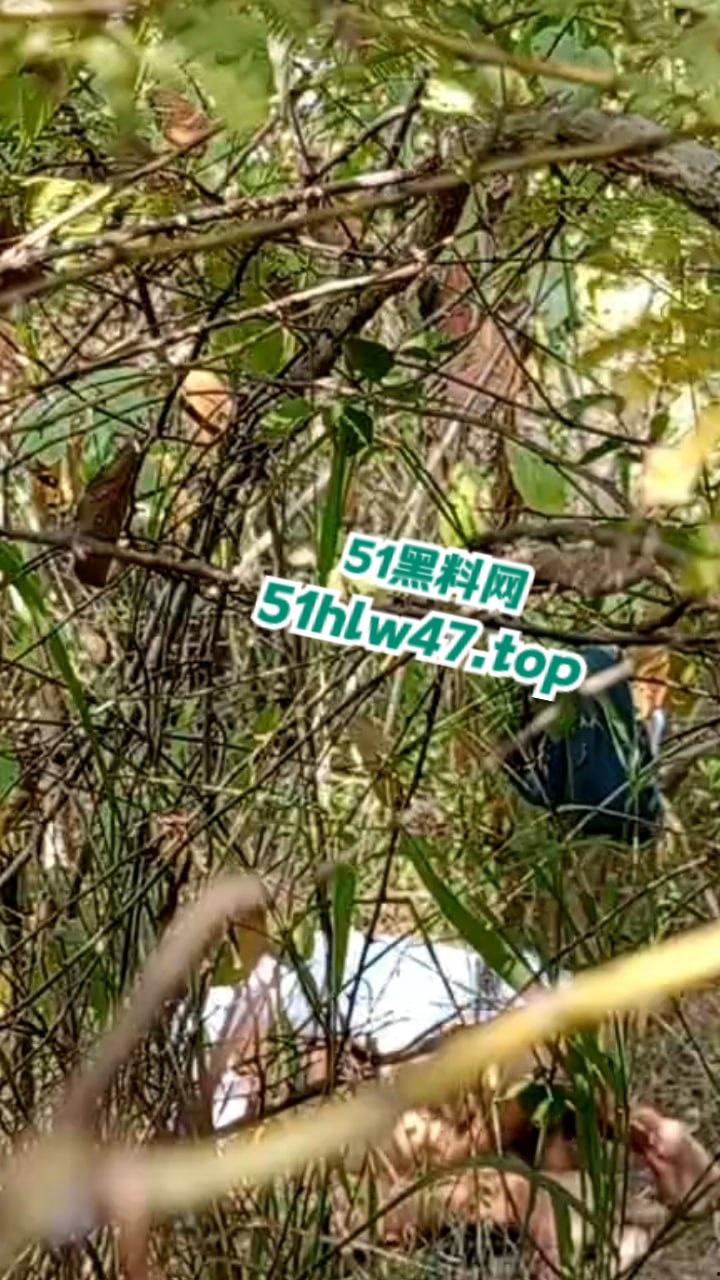 情侣景区小树林露天野战被偷拍，景区小树林里操逼，裸露下体疯狂动鸡刺激中出小骚逼。  第2张