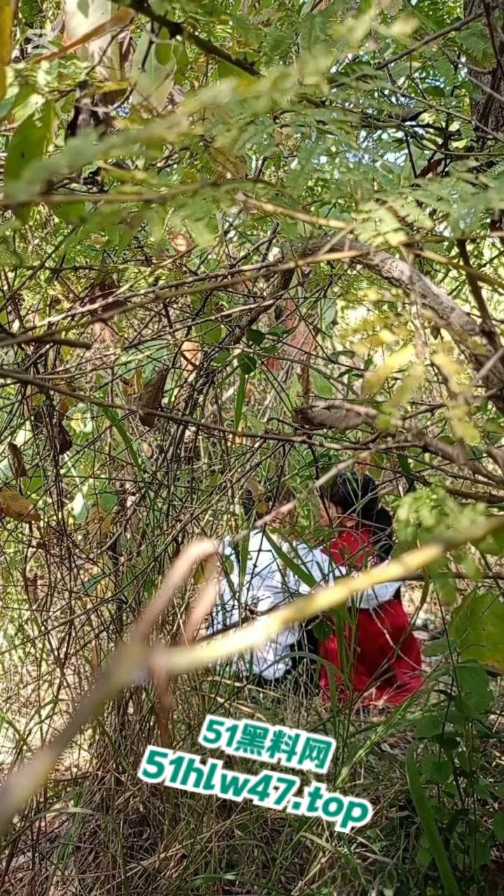 情侣景区小树林露天野战被偷拍，景区小树林里操逼，裸露下体疯狂动鸡刺激中出小骚逼。  第3张