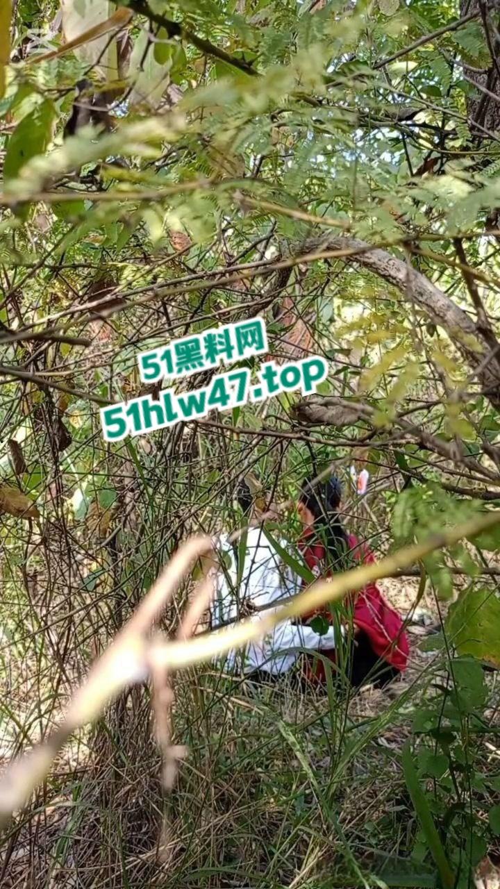 情侣景区小树林露天野战被偷拍，景区小树林里操逼，裸露下体疯狂动鸡刺激中出小骚逼。  第4张