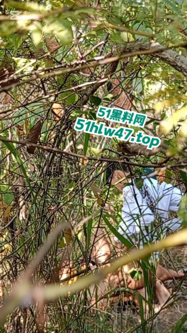 情侣景区小树林露天野战被偷拍，景区小树林里操逼，裸露下体疯狂动鸡刺激中出小骚逼。  第5张
