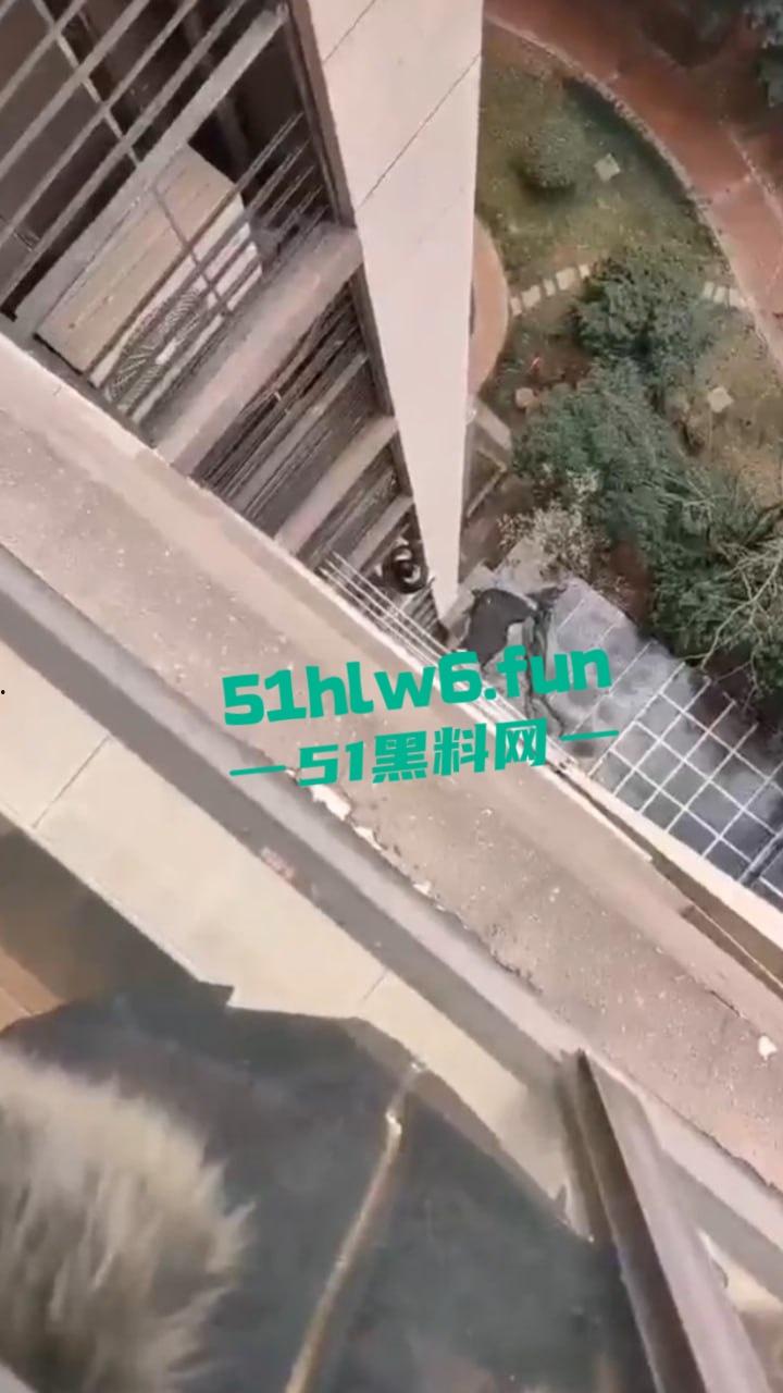 山东瓜友实拍一小孩突发奇想,跨过窗户跑到空调机外墙顺着栏杆从高层爬下去,真是初生牛犊不怕虎啊。 第4张 山东瓜友实拍一小孩突发奇想,跨过窗户跑到空调机外墙顺着栏杆从高层爬下去,真是初生牛犊不怕虎啊。 第4张