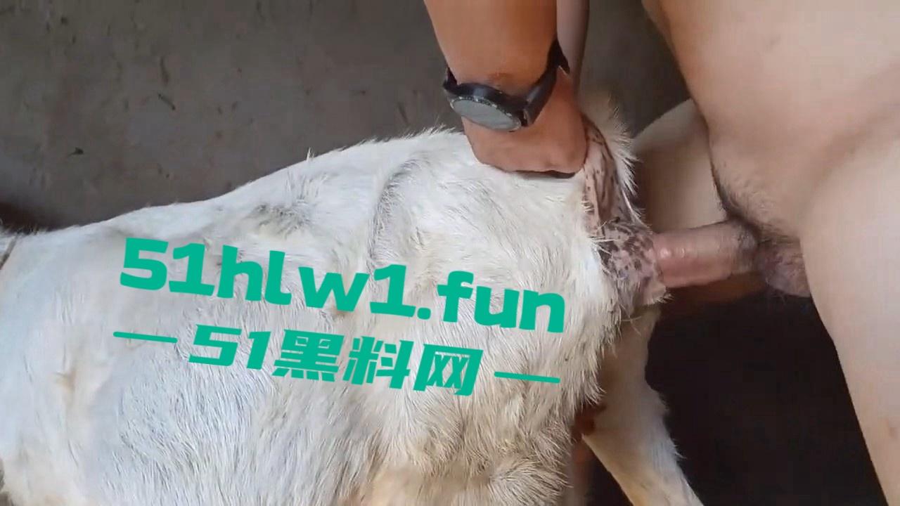 炸裂三观，网友分享自己【人兽羊】的真实经历还附带视频，这小羊的嫩逼堪比萝莉吗  第11张