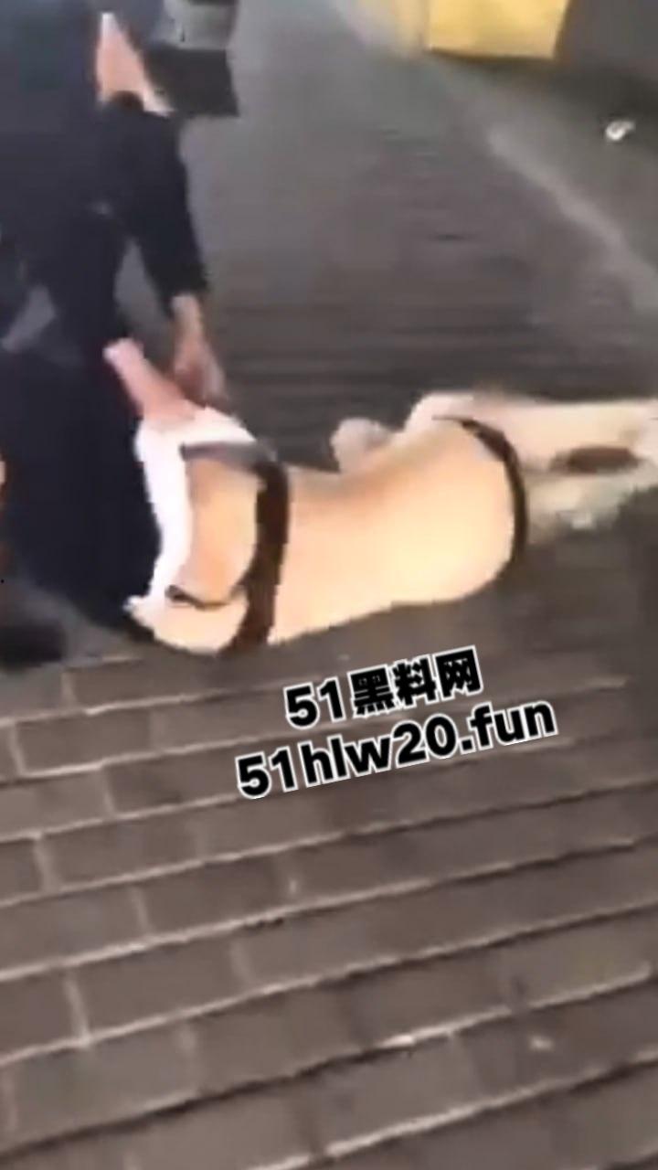 浙江街头捉奸现场,女子带家里弟弟和哥哥一起围堵小三当街扒光殴打,目前打人者已经被刑拘。 第1张 浙江街头捉奸现场,女子带家里弟弟和哥哥一起围堵小三当街扒光殴打,目前打人者已经被刑拘。 第1张