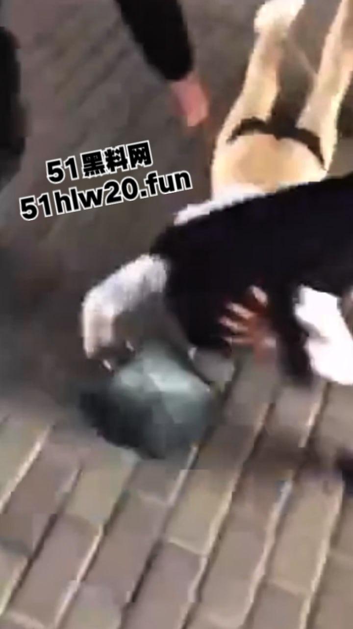 浙江街头捉奸现场,女子带家里弟弟和哥哥一起围堵小三当街扒光殴打,目前打人者已经被刑拘。 第6张 浙江街头捉奸现场,女子带家里弟弟和哥哥一起围堵小三当街扒光殴打,目前打人者已经被刑拘。 第6张