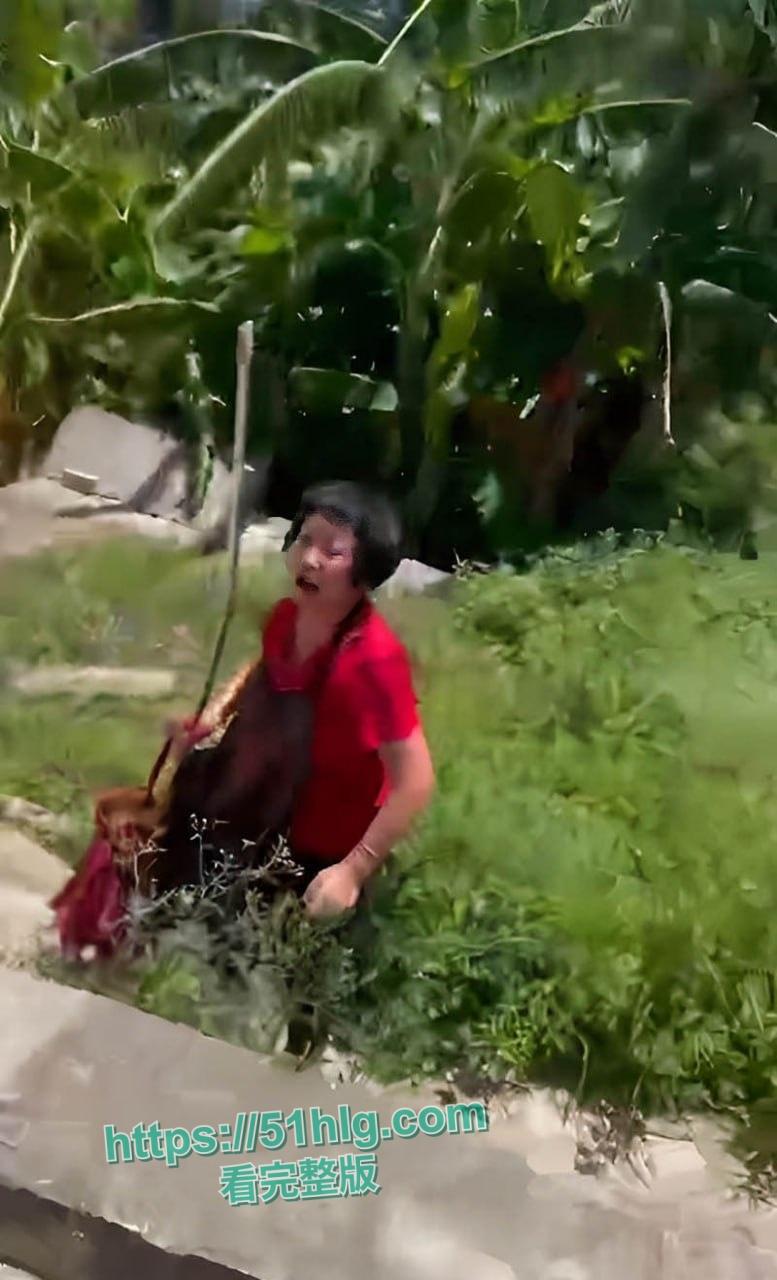 七旬老太路边险遭肥宅男强奸 行凶时被路人发现当场制服 变态行径引发公愤 现场视频独家曝光 第5张 七旬老太路边险遭肥宅男强奸 行凶时被路人发现当场制服 变态行径引发公愤 现场视频独家曝光 第5张