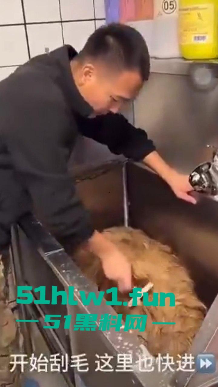 网红狗艾特疑遭训狗师【潘宏】虐待致死,女明星陈乔恩蹭热点带节奏被网友骂上热搜。 第3张 网红狗艾特疑遭训狗师【潘宏】虐待致死,女明星陈乔恩蹭热点带节奏被网友骂上热搜。 第3张