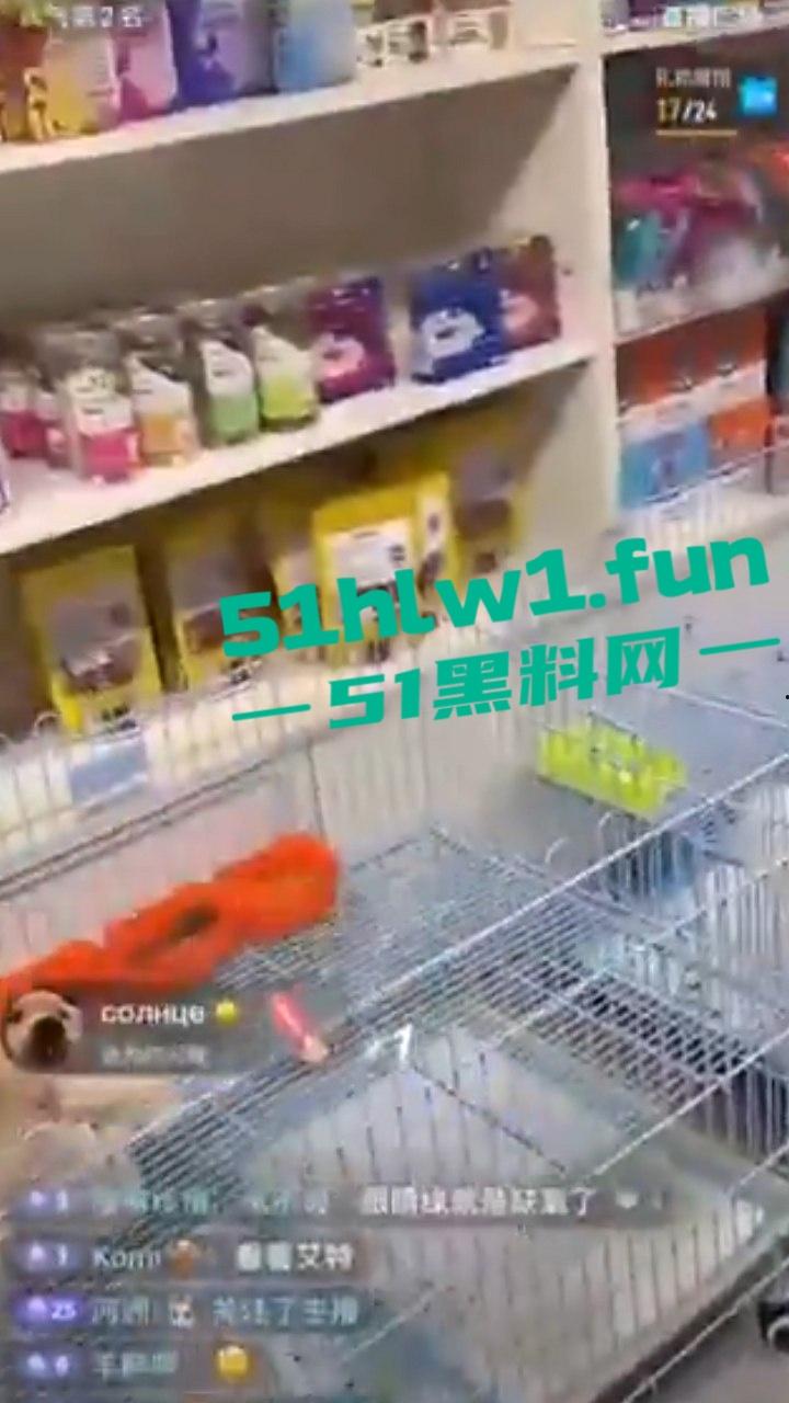 网红狗艾特疑遭训狗师【潘宏】虐待致死,女明星陈乔恩蹭热点带节奏被网友骂上热搜。 第4张 网红狗艾特疑遭训狗师【潘宏】虐待致死,女明星陈乔恩蹭热点带节奏被网友骂上热搜。 第4张