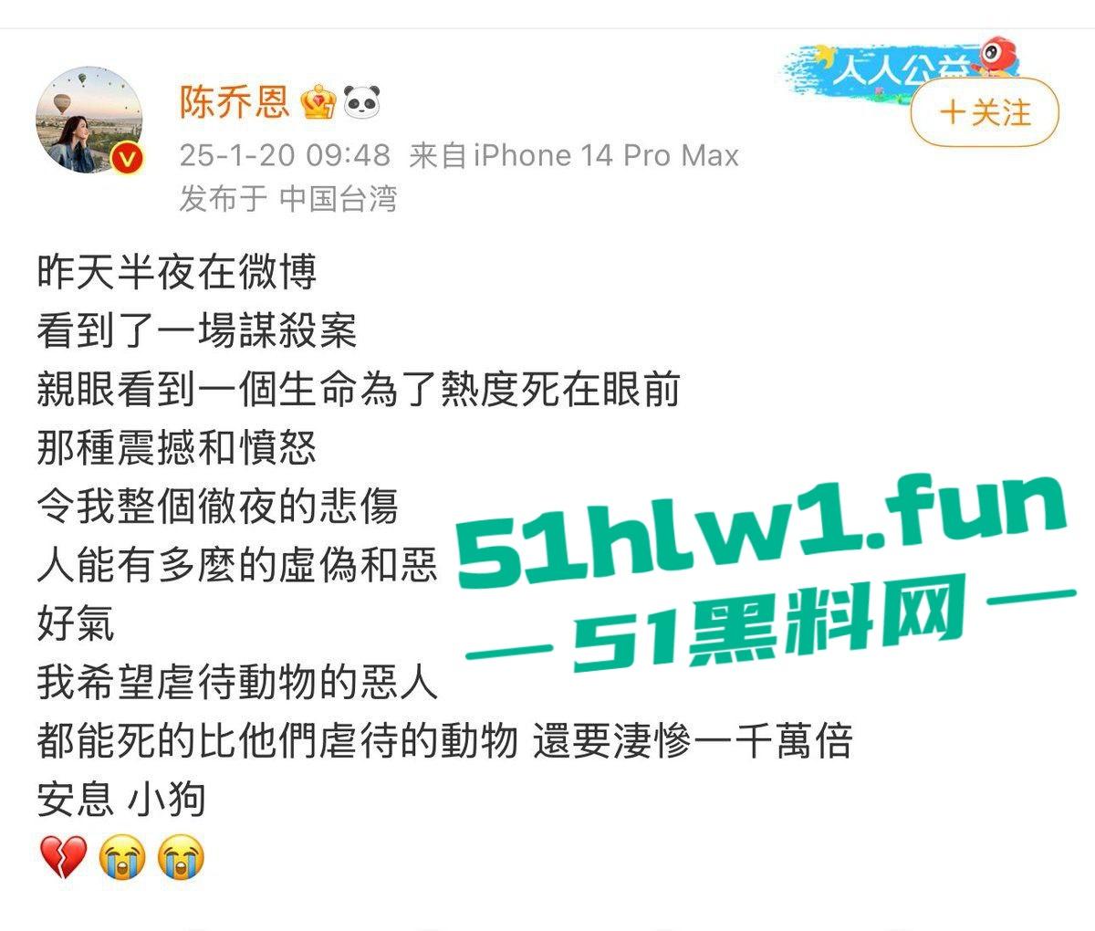 网红狗艾特疑遭训狗师【潘宏】虐待致死,女明星陈乔恩蹭热点带节奏被网友骂上热搜。 第5张 网红狗艾特疑遭训狗师【潘宏】虐待致死,女明星陈乔恩蹭热点带节奏被网友骂上热搜。 第5张