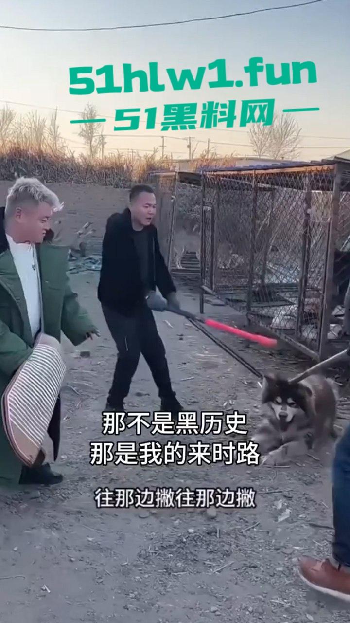 网红狗艾特疑遭训狗师【潘宏】虐待致死,女明星陈乔恩蹭热点带节奏被网友骂上热搜。 第7张 网红狗艾特疑遭训狗师【潘宏】虐待致死,女明星陈乔恩蹭热点带节奏被网友骂上热搜。 第7张