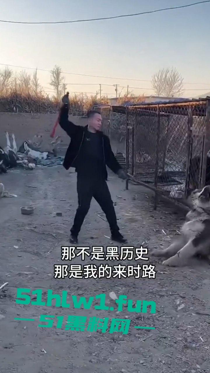 网红狗艾特疑遭训狗师【潘宏】虐待致死,女明星陈乔恩蹭热点带节奏被网友骂上热搜。 第9张 网红狗艾特疑遭训狗师【潘宏】虐待致死,女明星陈乔恩蹭热点带节奏被网友骂上热搜。 第9张