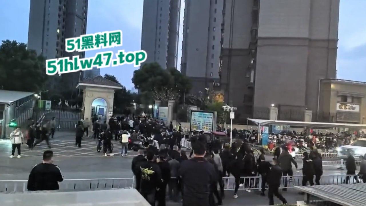 武汉海昌天澜黑箱操作换物业，据悉是两波物业公司抢地盘，一群业主也参与其中堪比古惑仔现场。  第3张