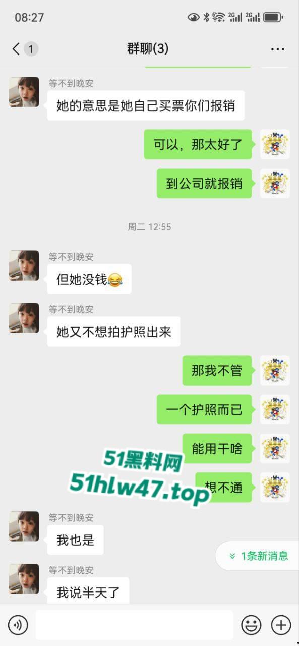 曝光东南亚骗子小仙女，套路公司骗了公司路费后各种借口，撒谎被海关带走乱扯皮。  第8张