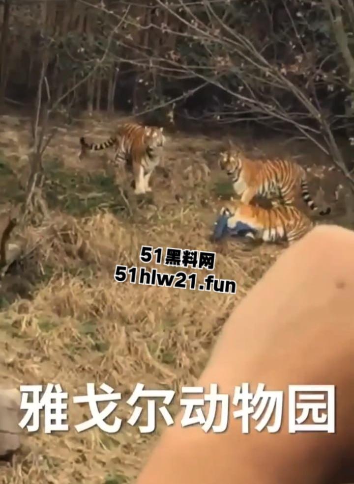 浙江宁波雅戈尔动物园,男子翻越围墙遭老虎攻击致死,老虎遭警方枪杀,园方称死者并没有买票。 第2张 浙江宁波雅戈尔动物园,男子翻越围墙遭老虎攻击致死,老虎遭警方枪杀,园方称死者并没有买票。 第2张