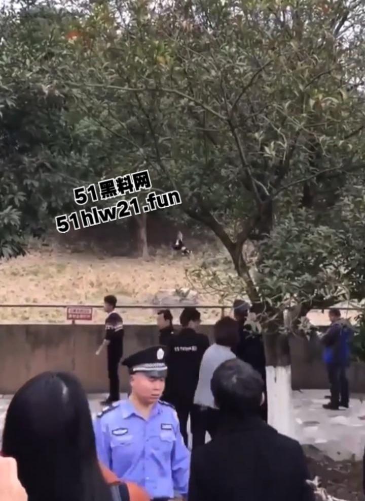 浙江宁波雅戈尔动物园,男子翻越围墙遭老虎攻击致死,老虎遭警方枪杀,园方称死者并没有买票。 第5张 浙江宁波雅戈尔动物园,男子翻越围墙遭老虎攻击致死,老虎遭警方枪杀,园方称死者并没有买票。 第5张