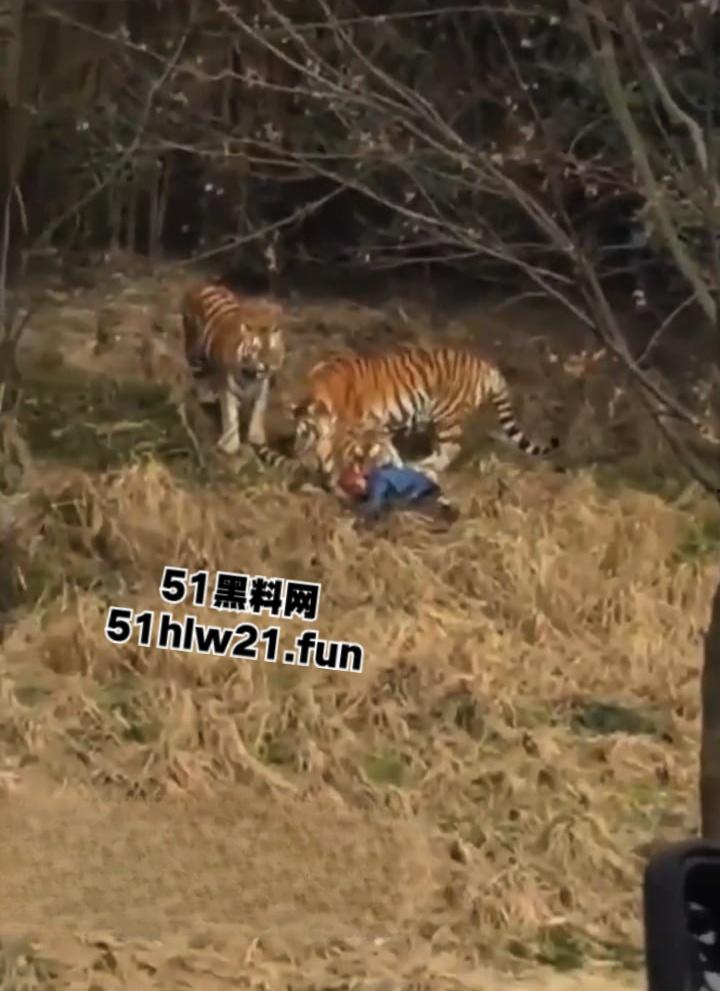 浙江宁波雅戈尔动物园,男子翻越围墙遭老虎攻击致死,老虎遭警方枪杀,园方称死者并没有买票。 第7张 浙江宁波雅戈尔动物园,男子翻越围墙遭老虎攻击致死,老虎遭警方枪杀,园方称死者并没有买票。 第7张