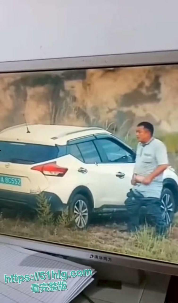 【广州】8C552车牌车震门火爆全网 女主人妻【何琳】身份开盒 细腰巨乳极品身材 酒店翘臀被后入浪叫不止  第3张