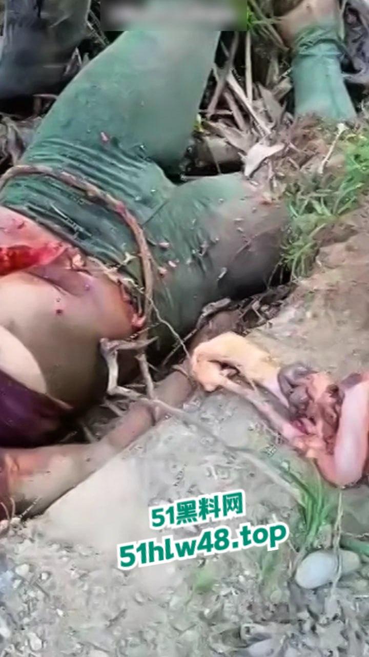 【恐怖血腥】国外大奶美女剖尸现场视频，大坨内脏被扯出，大奶美女和肥猪没啥区别。  第3张