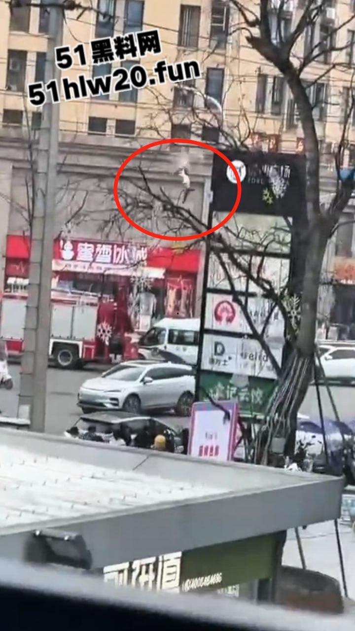 自杀跳楼实拍，辽宁十几岁女孩因谈恋爱被家人阻止，被家人囚禁在家中，女孩逃出窗外跳楼自杀。  第1张