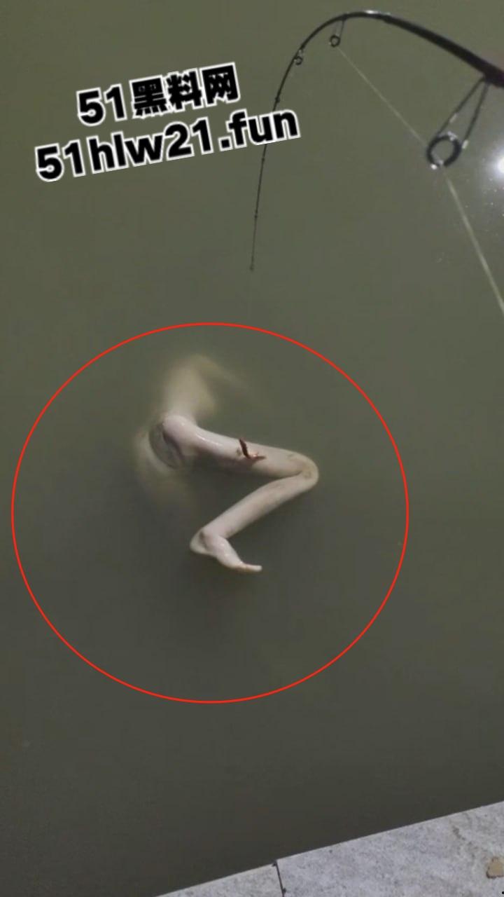 钓鱼佬夜钓惊现尸体,大长腿女尸钓鱼佬也太神奇,除了鱼钓不到以外什么都能钓到! 第4张 钓鱼佬夜钓惊现尸体,大长腿女尸钓鱼佬也太神奇,除了鱼钓不到以外什么都能钓到! 第4张