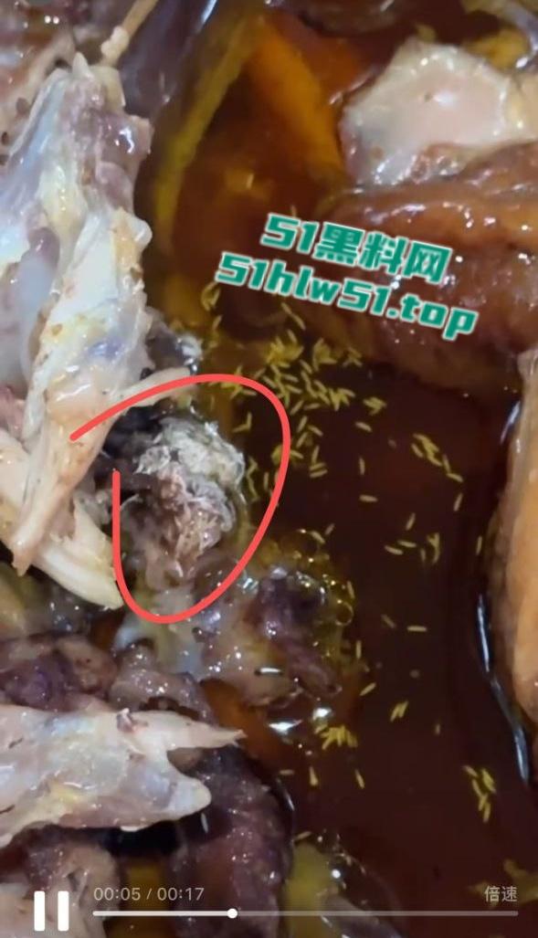 潮汕一农家乐窑鸡，鸡肉内部上爬满蛆虫密密麻麻超级恶心，场面令人作呕吃出人生阴影！  第3张