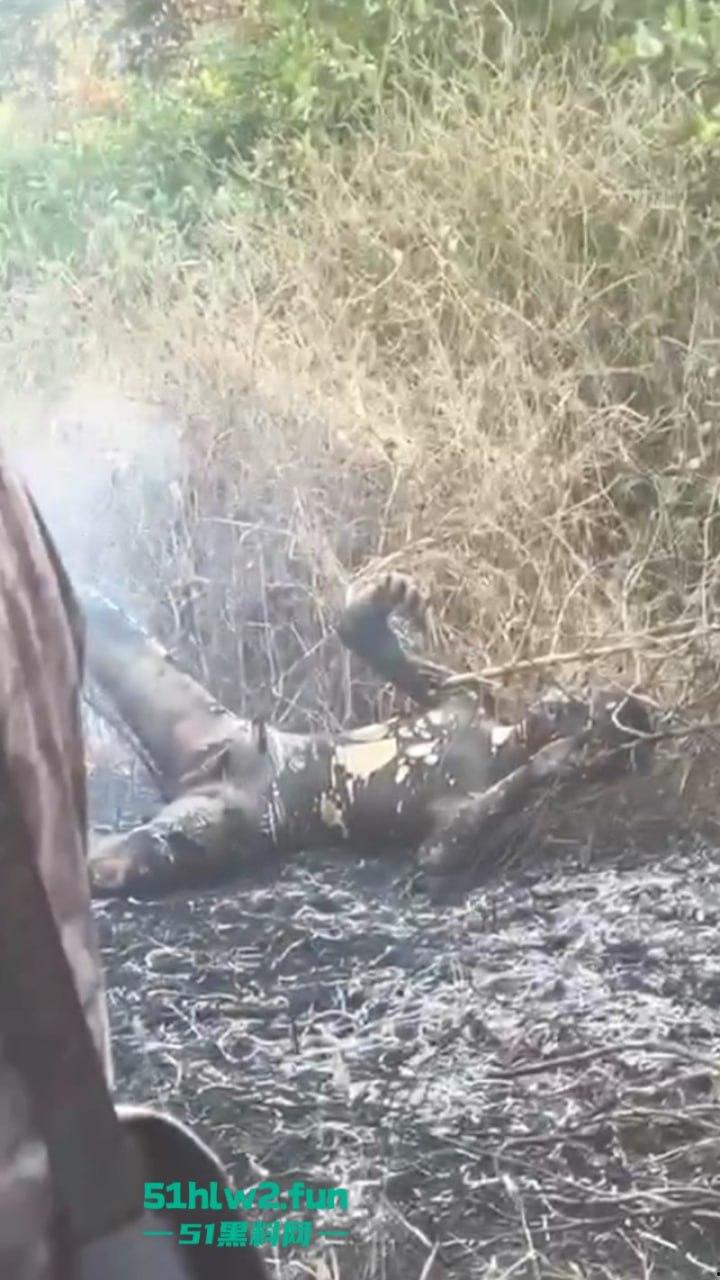 柬埔寨金边【坎达尔】惊现一燃烧尸体，尸体呈扭曲僵硬状态，疑似园区猪仔被毁尸灭迹？  第8张