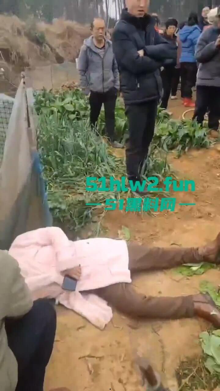 湖南衡阳李花村和添枝村互殴，数名外姓移门村民被打晕倒地不起，现场实拍流出。  第3张