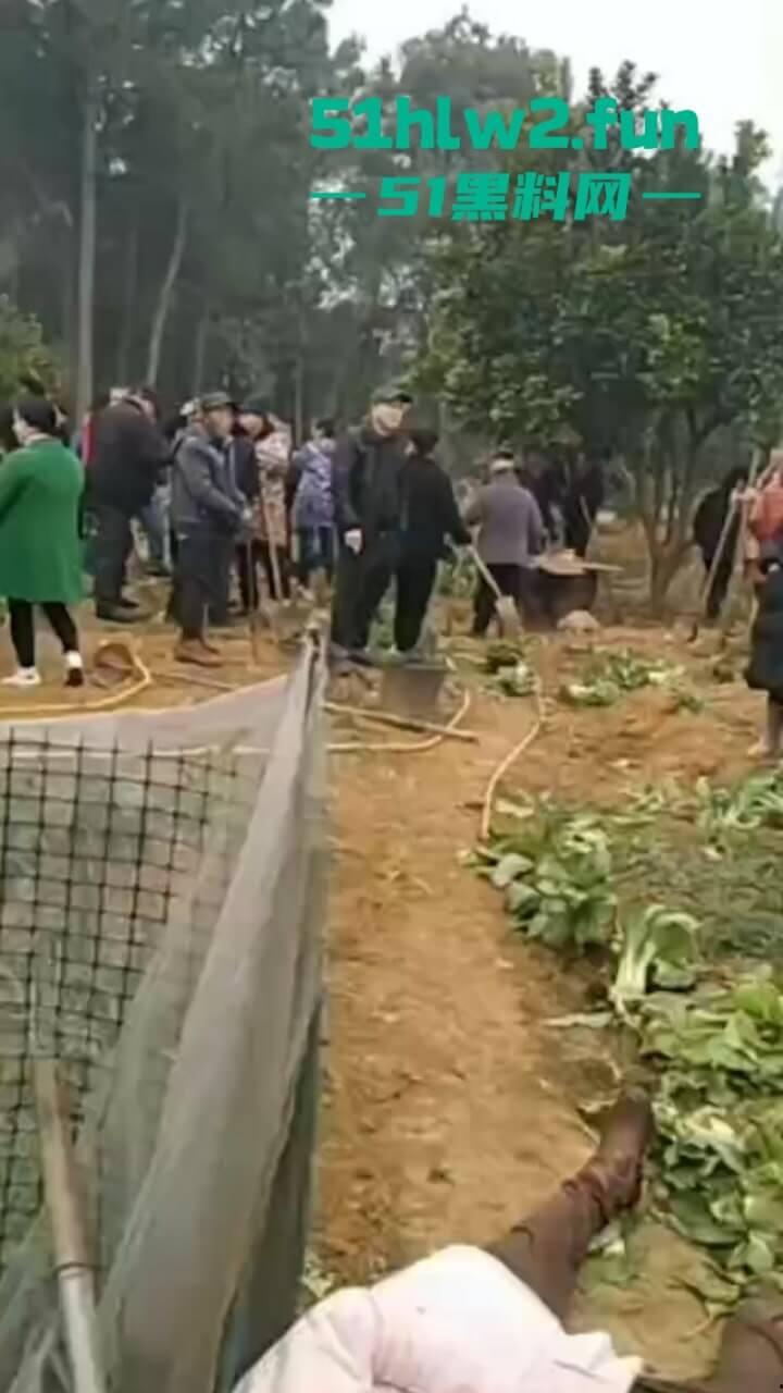 湖南衡阳李花村和添枝村互殴，数名外姓移门村民被打晕倒地不起，现场实拍流出。  第4张