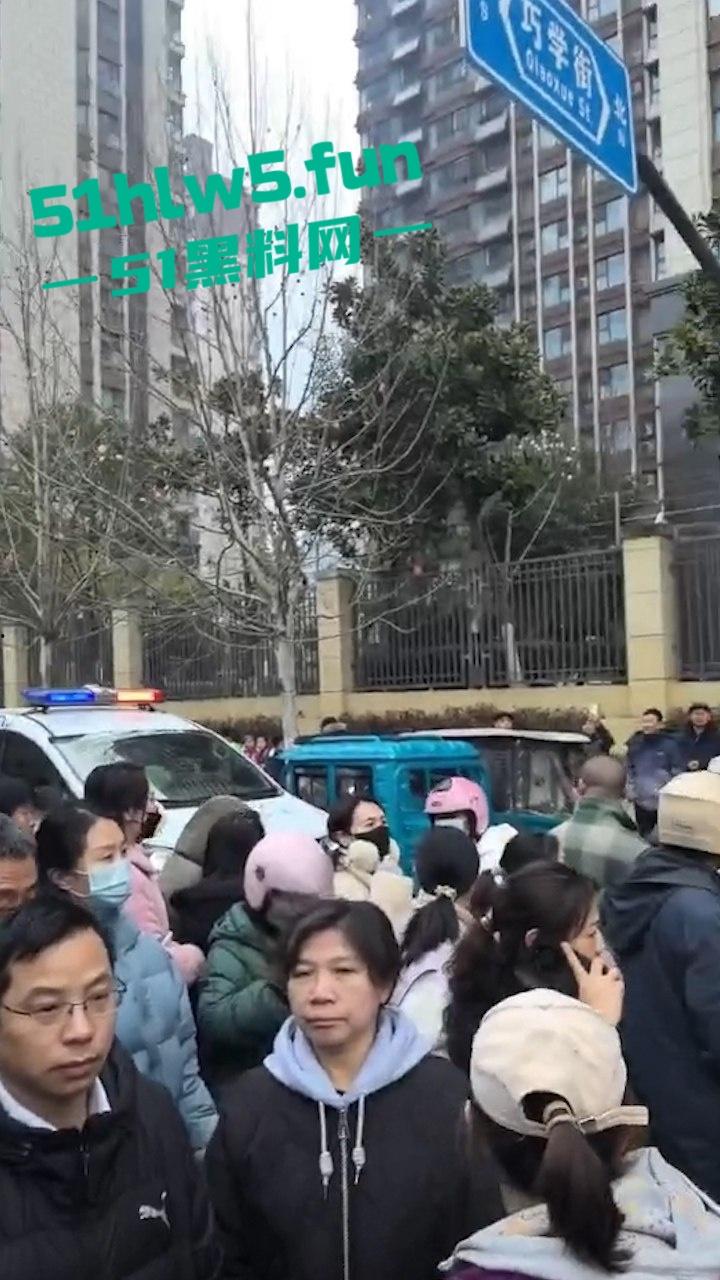 合肥滨湖小学，三年级小男生遭欺辱被剪操殖器，父亲发疯手刃覇凌同学。  第3张