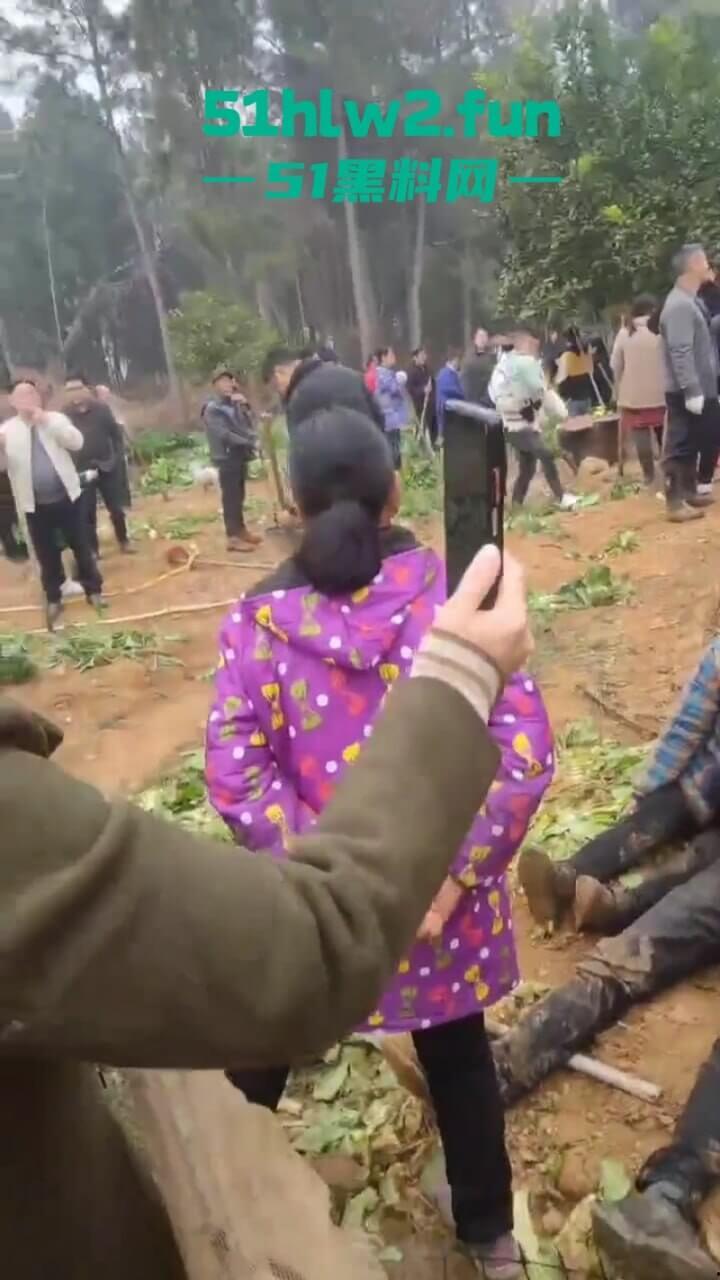 湖南衡阳李花村和添枝村互殴，数名外姓移门村民被打晕倒地不起，现场实拍流出。  第8张