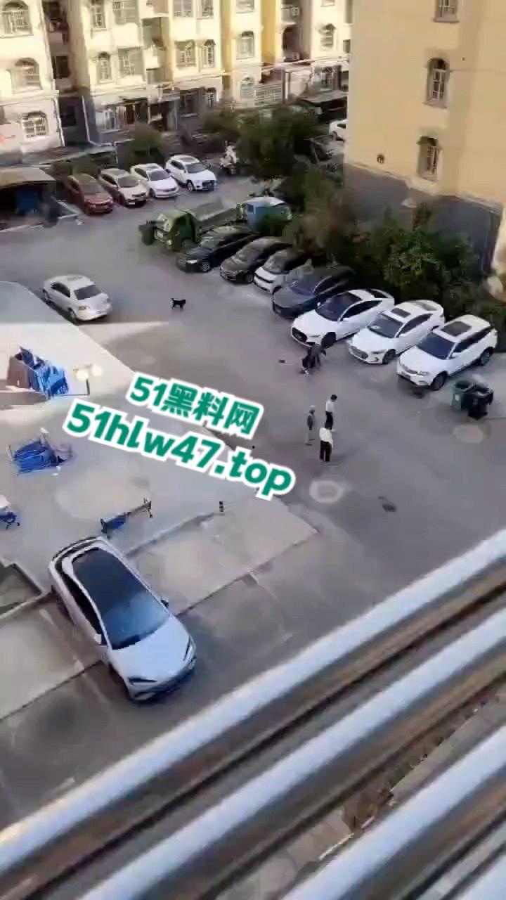 景德镇梨树园北苑老板娘欠钱被砍死视频,女老板欠钱不给还侮辱老实人遭对方乱刀砍死。 第7张 景德镇梨树园北苑老板娘欠钱被砍死视频,女老板欠钱不给还侮辱老实人遭对方乱刀砍死。 第7张