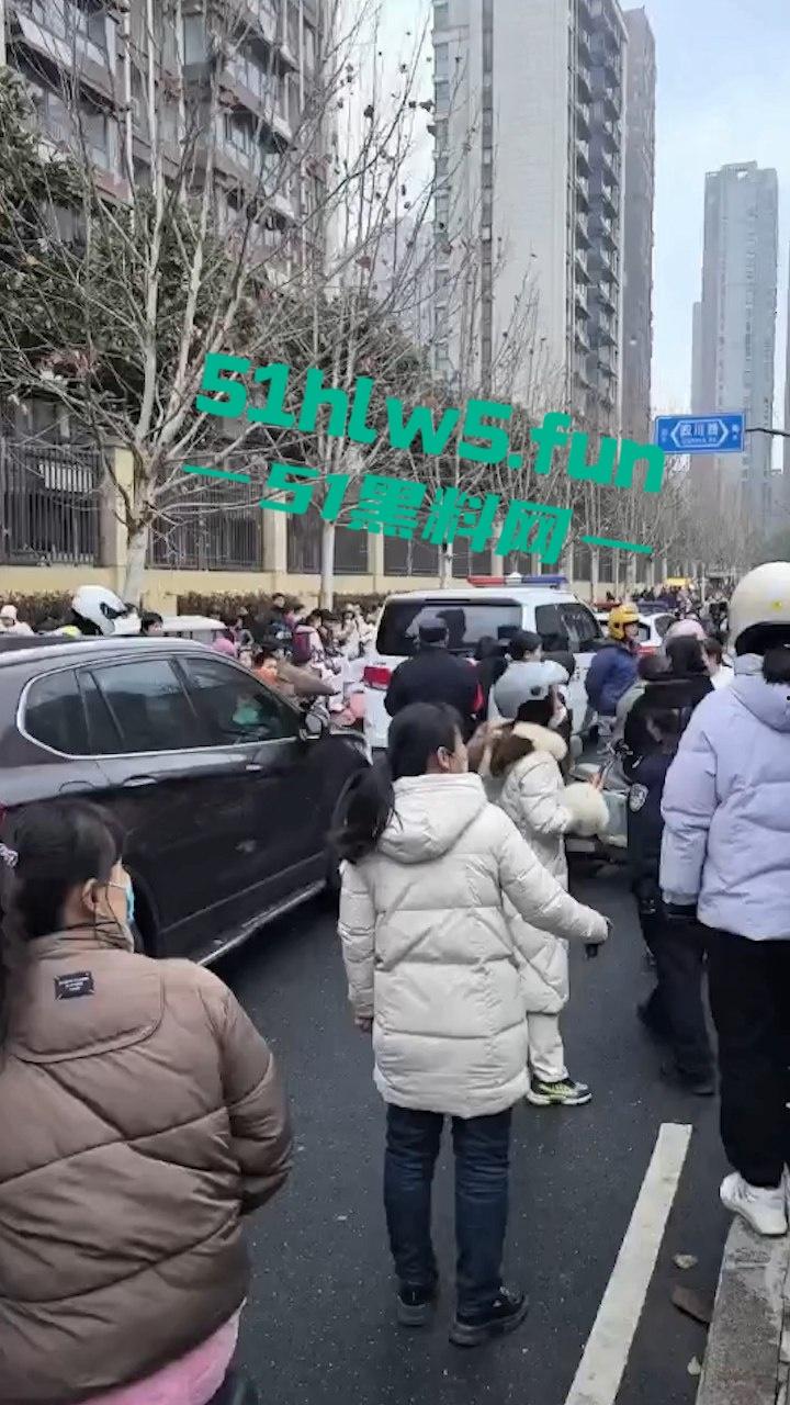 合肥滨湖小学，三年级小男生遭欺辱被剪操殖器，父亲发疯手刃覇凌同学。  第4张