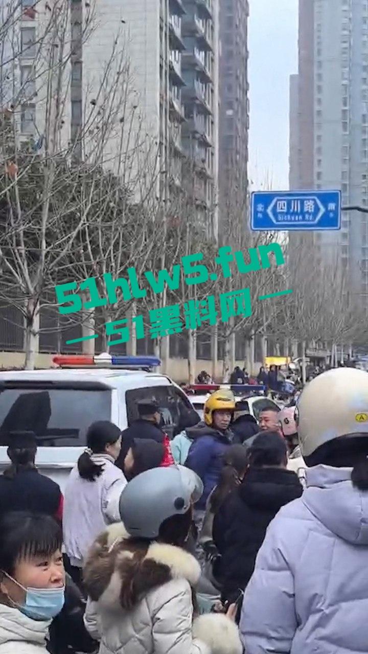 合肥滨湖小学，三年级小男生遭欺辱被剪操殖器，父亲发疯手刃覇凌同学。  第9张