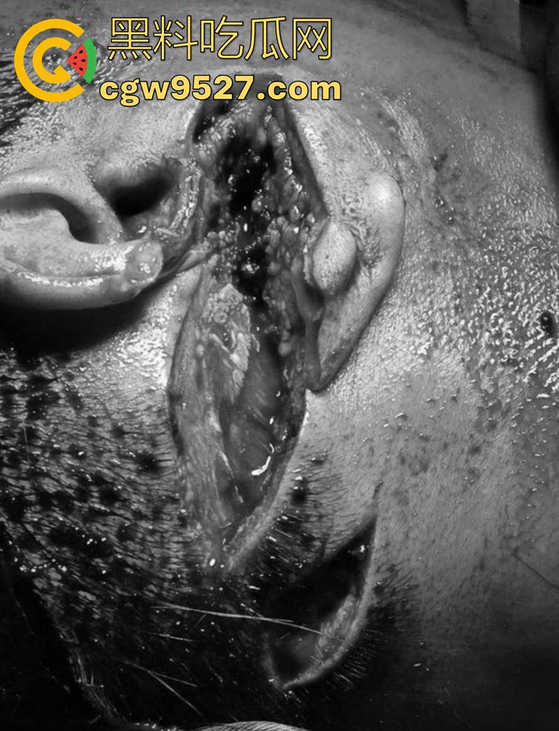 越南海防水果批发市场，发生重大砍人事件，男子手持菜刀疯狂劈砍，导致三人身受重伤，现场视频流出！  第3张