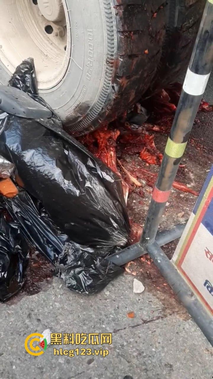 血腥慎点！太惨烈！尼泊尔一男子遭货车碾压拖行 “肠子都出来了！”  第8张