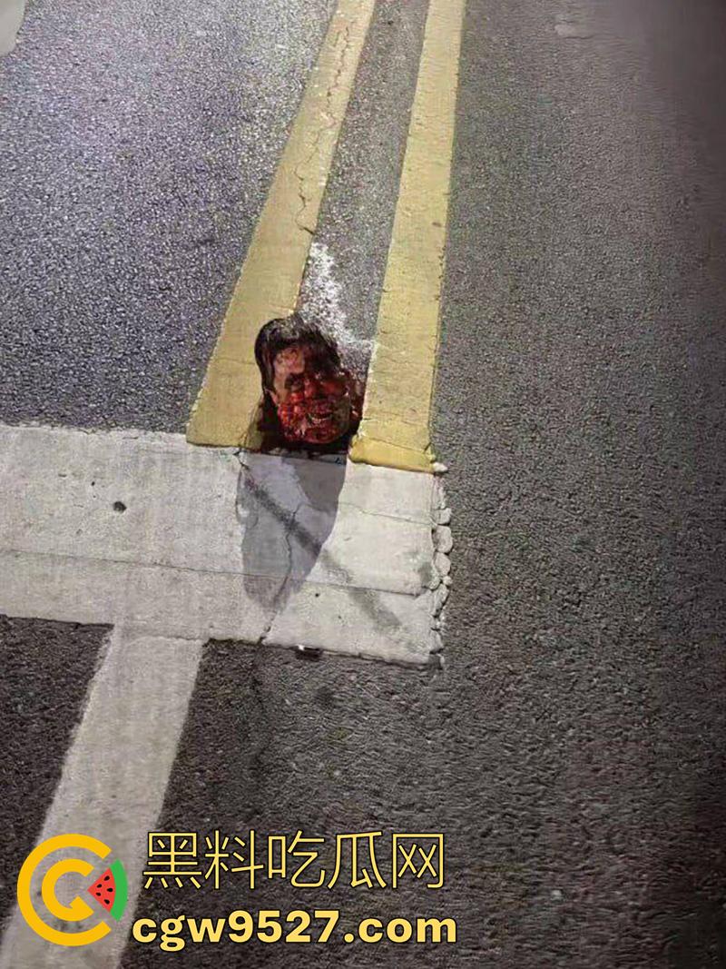 山东恐怖杀人现场，诸城东外环润家园附近，一男子杀人后，将其头颅砍下来，直接放在马路中间！  第3张