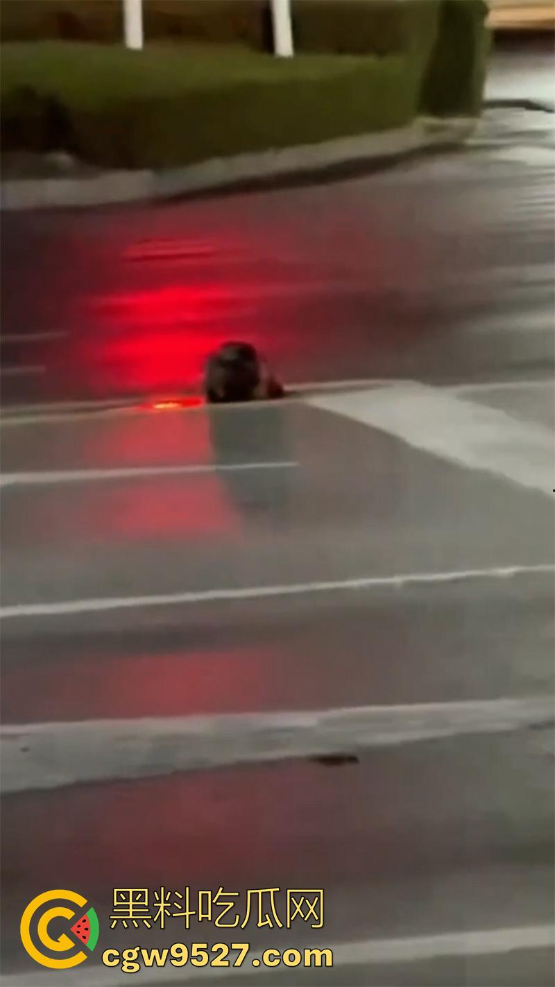 山东恐怖杀人现场，诸城东外环润家园附近，一男子杀人后，将其头颅砍下来，直接放在马路中间！  第5张