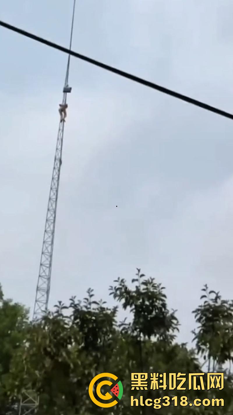 变态主人带母狗露出，突发奇想爬信号塔，高空捆绑拍照炫耀，结果主人意外坠落摔死，女子已获救！  第3张