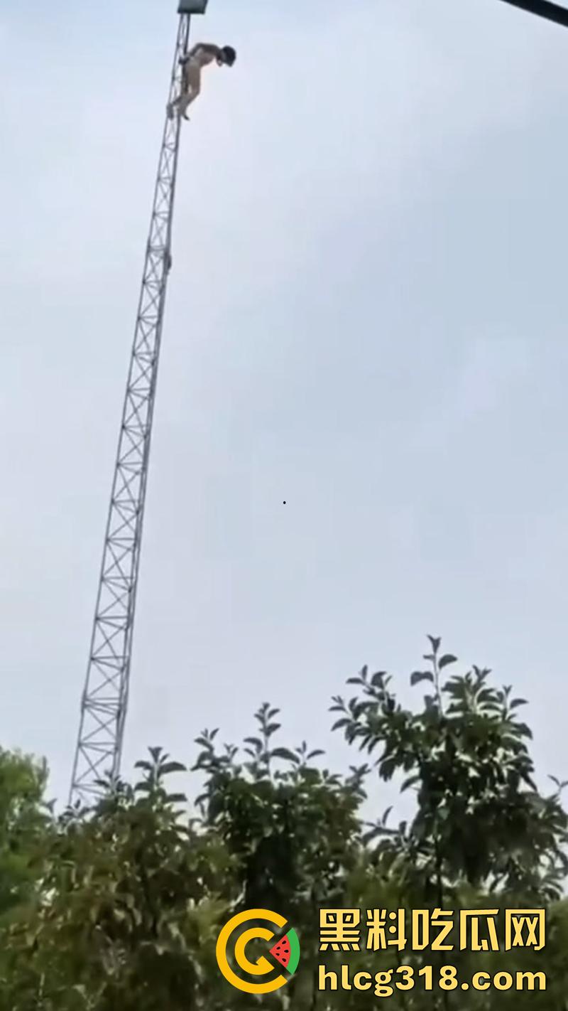 变态主人带母狗露出，突发奇想爬信号塔，高空捆绑拍照炫耀，结果主人意外坠落摔死，女子已获救！  第4张