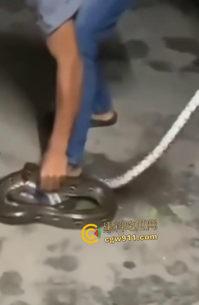 印度作死狂人闲蛋疼踩蟒蛇遭反杀！巨蟒一口咬住小腿死缠不放，发觉人太大吃不下灰溜溜逃窜！  第2张