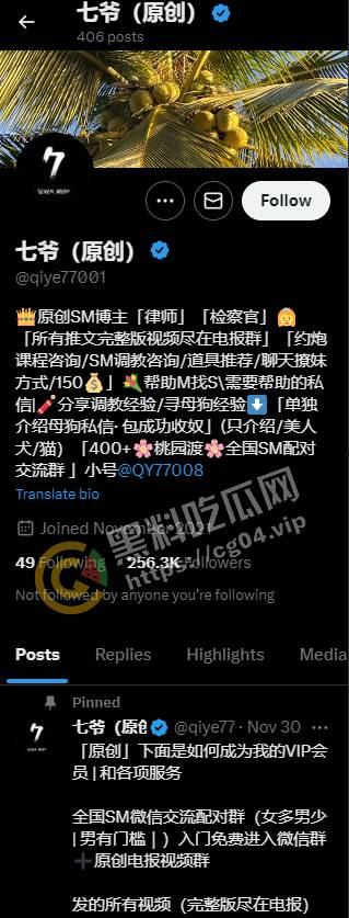 推特20万粉丝福利姬七爷 大制作 究极调教敏感体质粉嫩小姐姐 以及露出挑战 太敢玩了  第1张