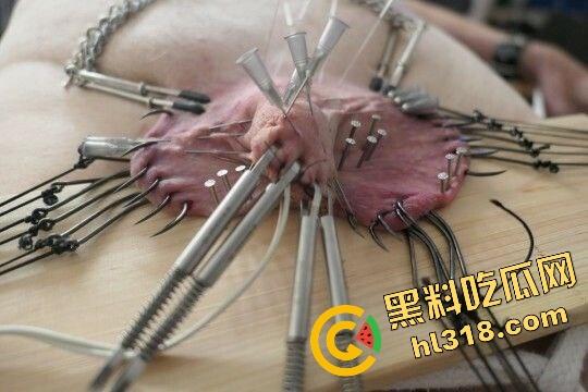 猎奇新高度，虐鸡阉割重口慎入，这才叫真蛋疼，鸡都不带哆嗦不把牛子当回事，瓜友你们怎么看？  第16张